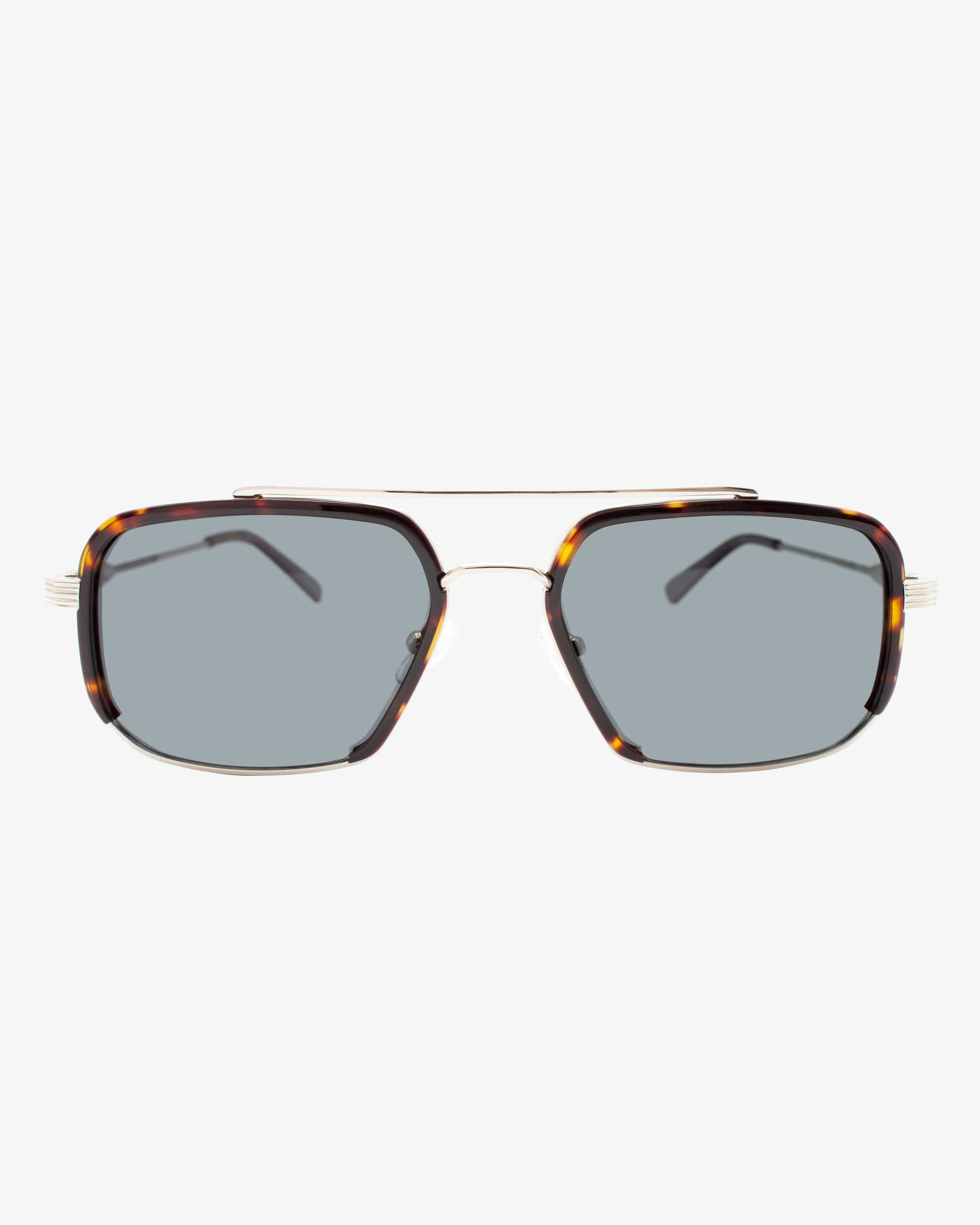 Webster Lunettes de vue et Lunettes de soleil au maroc